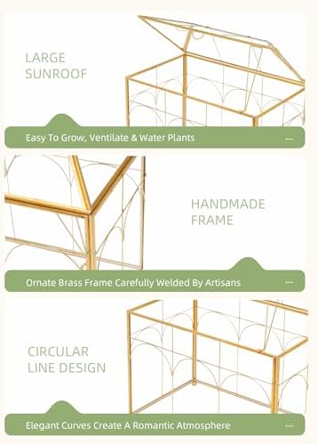 REDHUGO Glass Planter Terrarium with Lid, Indoor Display Box, Gold - Image 6