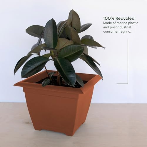 Bloem Dayton 15" Square Recycled Plastic Planter Box, Terra Cotta, 3-Pack - Image 2