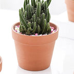 Baluue Xmas Ceramic Succulent Plant Pots 27pcs for Indoor Plants - Image 5
