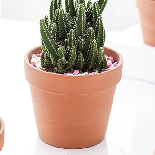 Baluue Xmas Ceramic Succulent Plant Pots 27pcs for Indoor Plants - Image 5
