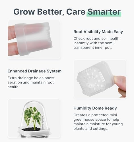 12 Pack 2" Small Clear Self Watering Pots with Humidity Dome for Indoor Plants, Seed Starter Cups, Tissue Culture Acclimation Kit,Alocasia Corm Propagation,African Violet,Cuttings,Seedlings - Image 7