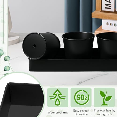FoldTier 2 Sets Indoor Herb Garden Planter Kit with 10 Metal Pots, Black - Image 4