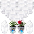 Self Watering Plant Pots, 3.5'', Transparent, 18 Pcs by Ferrochef