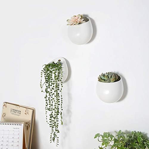 Mkono 4 Inch Wall Mounted Planter Round Ceramic Hanging Plant Holder Decorative Flower Display Vase Succulent Pots for Indoor Plants, Set of 3, White (Plants NOT Included) (Pack of 2) - Image 2