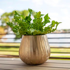 Brass Hammered Planter for Plants and Succulents - Modern, Vintage, Mid-Century Modern - Gold Colored Decorative Round Metal Flower Pot Holder for Living Room, Kitchen, Office - Image 5