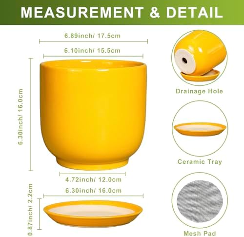 Indoor Plant Pot - 7 Inch Modern Round Ceramic Planter for Indoor Outdoor Plants with Drainage Hole and Saucer, Home Garden Office House Decor, Yellow - Image 3
