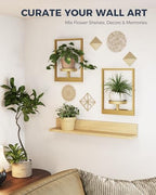 Bamworld Wall Plant Holder Plant Stand Indoor Wall Planters Gold - Image 2