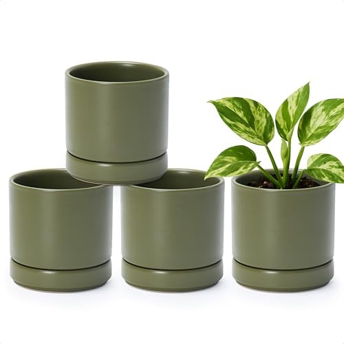 D'vine Dev 4-Pack Ceramic Pots with Saucers, Olive, 4.7 in, 94-X-B-0 by DvineDevPlanterPotsandStand