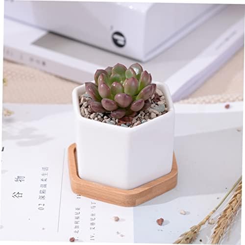 BESPORTBLE 3 Set Small Ceramic Hexagonal Succulent Pots Planter Pot Stand Geometric Planter with Bamboo Tray - Image 6
