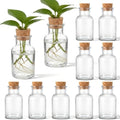 12 Pack Glass Plant Propagation Stations, Cylindrical by Acellegic