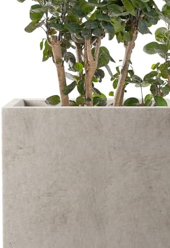 Kante Small Tall Square Weathered Concrete Planter 13" H, Outdoor - Image 7