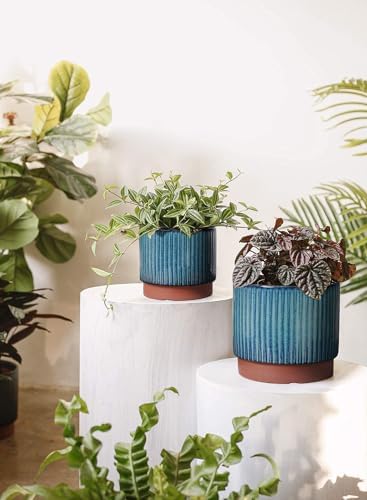 LE TAUCI Ceramic Plant Pots with Drainage Holes, Set of 3, 8+6.7+5.5 Inch Stripe Garden Planter Pots for Outdoor Indoor Plants Flower, Round Succulent Orchid Flower Pot, Reactive Glaze Green - Image 3
