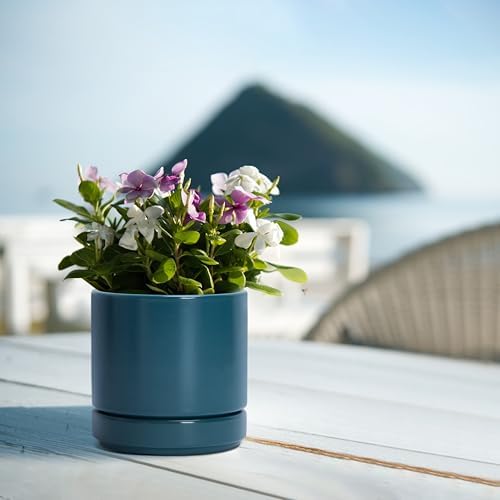 D'vine Dev 4-Pack Ceramic Pots with Saucers, Teal, 4.7 in, 94-X-B-9 - Image 7
