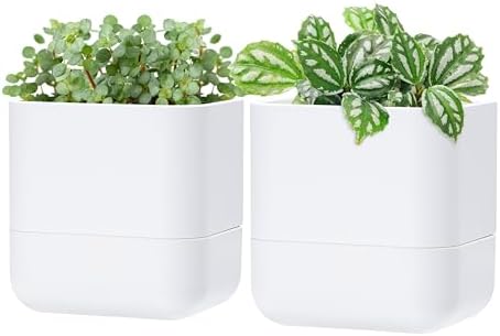 Phoenix Vine 6.5 Inch Wall Mounted Self-Watering Planter Pot for Indoor Houseplants and Herbs | Hanging Planter for Window Sills, Bathroom Walls, Home & Office Décor, White, Set of 2, 01-C-D-2 by Phoenix+Vine