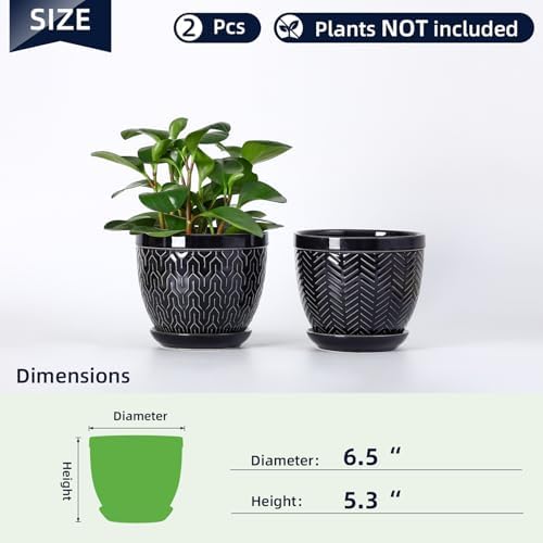 Sureasy 6.5 Inch Ceramic Plant Pots, Embossed Decorative Planters with Drainage Hole and Saucer, Modern Flower Pots for Indoor Plants, Set of 2, Black - Image 3
