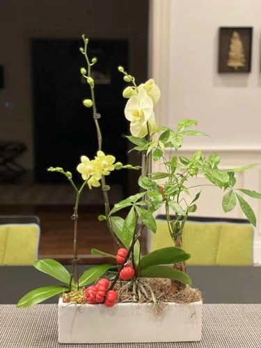 WGVI Long Rectangle Ceramic Planter Vase in White 12" x 4" x 4"H, Block Rectangular Terrarium Box Pot, Flower Arrangement, Table top Centerpiece, Home Decor Organization Storage Container, 1 Pc. - Image 6