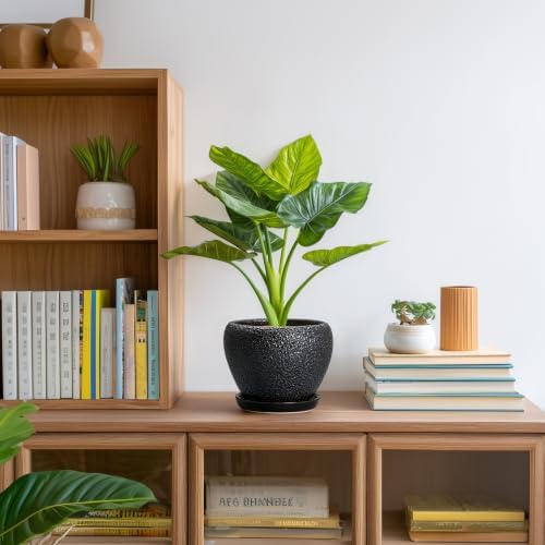 Ceramic Planter 6 Inch, Ceramic Plant Pots Indoor, Black - Image 6