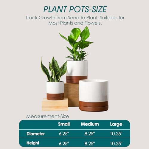 vancasso Ceramic Pots for Plants, Plant Pots for Indoor Plants, 6.25+8.25+10.25 Inch Ceramic Planters, Flower Pots with Drainage Holes, Planters Pot for Indoor House Plant, Set of 3, Khaki - Image 2