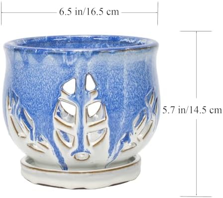 W&W Orchid Pot with Holes and Saucer for Repotting and Better Grow, Blue and White, 6.5 Inches - Image 6