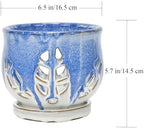 W&W Orchid Pot with Holes and Saucer for Repotting and Better Grow, Blue and White, 6.5 Inches - Image 6