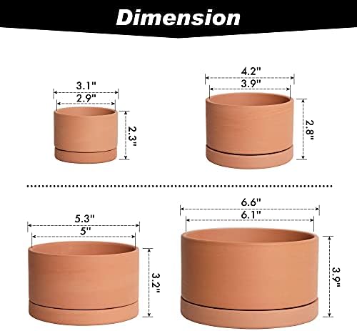 D'vine Dev Set of 4 Terracotta Shallow Planter Pots for Succulent, 3 Inch 4 Inch 5 Inch 6 Inch, Small Flower Plant Pots with Drainage and Saucer, 40-Z-0 - Image 4