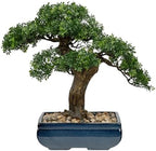 Artificial Bonsai Tree Juniper Faux Plants Indoor Fake Plants Decor with Blue Square Ceramic Pots for Home Table Office Desk Bathroom Shelf Bedroom Living Room Farmhouse Decorations by Briful