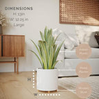 EverNest Claire Modern Indoor Plant Pot with Stand, White Pattern, 12 Inch, SelectBase, Neutral Mid-Century Modern Style, Metal Home Decor Planter (Large, 3 Gallon) - Image 2
