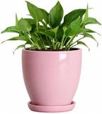 6 Inch Ceraimc Plant Pots, Ceraimc Planters for Indoor Plant, Pink by EPFamily