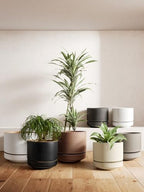 LE TAUCI 12 Inch Pots for Plants with Saucer, Ceramic Indoor Planter Pot for Plants with Drainage Hole, Mesh Pad Included, Unglazed Porous Ceramic, Modern for Home and Office, Speckled Oat - Image 6