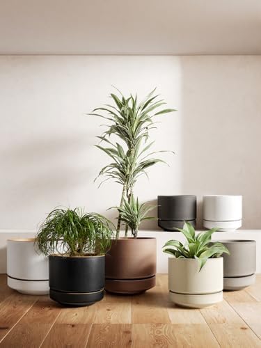 LE TAUCI 12 Inch Pots for Plants with Saucer, Ceramic Indoor Planter Pot for Plants with Drainage Hole, Mesh Pad Included, Unglazed Porous Ceramic, Modern for Home and Office, Speckled Oat - Image 6