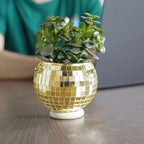Bubblegum Stuff Gold Disco Ball Hanging Planter - Indoor Herb & Plant Hanger, Boho Decor - 4 inch - Image 4