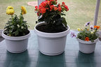 Pots & Saucers, 9 inch, Terra Cotta Colored, Case of 5 - Image 5
