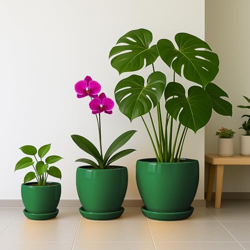 Deep Dream 10 Inch Plant Pot- Ceramic Planter Pot Round Plant Pots for Indoor Plants Outdoor Large Flower Pot with Drainage Holes & Trays, Green - Image 5