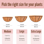 LaLaGreen Wall Planter (12 in, 6 Pack) Black Metal Coco Liner Flower Pots - Image 4