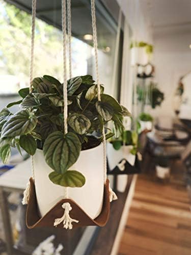 Leather Plant Sling - Image 5