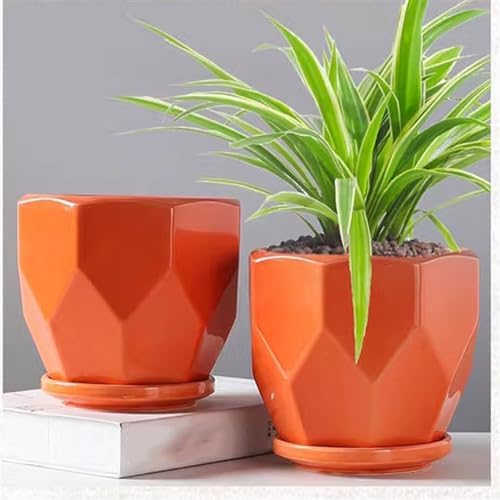 Plant Pot Ceramic Flower Pots Ceramic Large with Tray Simple Household Creative Green Succulent Flower Pots Flower Pots(Gris,Large) (Red L) - Image 7
