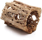 3 to 48 Inch All Natural Teddy Bear Cholla Wood Extra Hollow Large Untreated Organic Aquarium Driftwood Decoration Chew Toy Shrimp Crab Multi-Quantity (3 Pieces, 3 inch) - Image 3