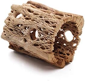 3 to 48 Inch All Natural Teddy Bear Cholla Wood Extra Hollow Large Untreated Organic Aquarium Driftwood Decoration Chew Toy Shrimp Crab Multi-Quantity (3 Pieces, 3 inch) - Image 3