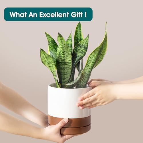 vancasso Ceramic Pots for Plants, Plant Pots for Indoor Plants, 6.25+8.25+10.25 Inch Ceramic Planters, Flower Pots with Drainage Holes, Planters Pot for Indoor House Plant, Set of 3, Khaki - Image 4