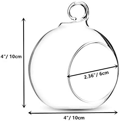 NUPTIO Hanging Glass Terrarium Globes, 12 Pcs, 4 Inch - Image 2