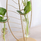 HOMSFOU Glass Test Tube Hydroponic Vase with Iron Golden Leaf Frame, 3-Tube Plant Propagation Planter for Home Décor and Flower Arrangement - Image 3