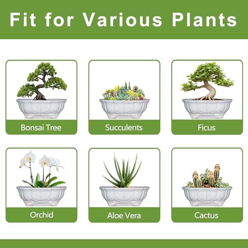 11 Inch Bonsai Pots - Ceramic Bonsai Planters for Indoor Outdoor Plants, Succulent Pots with Drainage Hole, Shallow Planter, Decorative Flower Pot, Home Decor, House Warming Gifts, Oval Grey - Image 7
