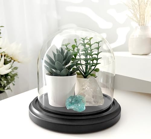 Plymor 5.5" x 5.5" Glass Display Dome Cloche (Black MDF Wood Base) - Image 3