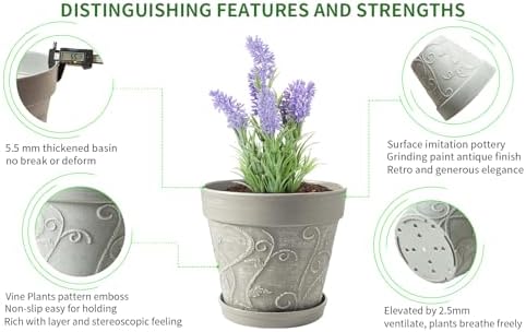 Melphoe Plant Pots Indoor with Drainage & Saucer, 2Pack 10 inch Flower Pots Outdoor Planters for Indoor Plants Garden Home Decor Cactus Succulent, Rigid Plastic (Imitation-Terracotta) Vine-Embossed - Image 6