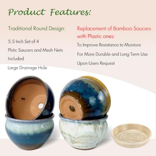 5.5 Inch Succulent Pot with Drainage and Free Saucer Glazed Terracotta Round Ceramic Succulent Planter Cactus Bonsai Plant Pot (Set of 4) - Image 2