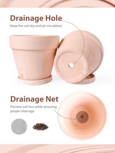 INGOFIN Terracotta Pots Set with Saucer - 4-Pack Ceramic Clay Planters with Drainage Hole, Garden Flower Succulent Pots with Tray for Indoor Outdoor Plants, 8 inch, Set of 4 - Image 6