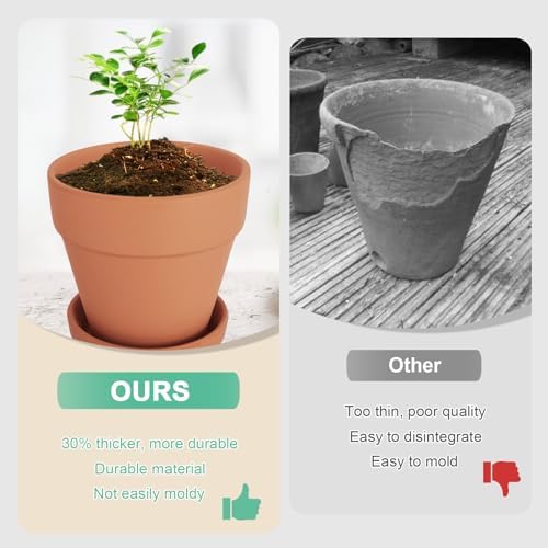 4 Inch Clay Pot for Plant with Saucer, Flower Pot with Tray, 12 Pack Small Terra Cotta Plant Pot with Drainage Hole, Terracotta Pot for Indoor Outdoor Plant, Great for Plants (4inch 12Pack) - Image 6