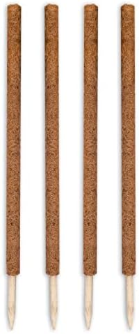 Envelor Coco Moss Poles Plant Support Stakes Coco Plant Stake Pothos Coir Totem Pole Monstera Moss Pole Climbing Plant Support Potted Plant Upward Growth Vine Stackable Coco Sticks, 36 inches, 4 Pack by Envelor