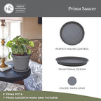The HC Companies 17.5 Inch Prima Round Plant Saucer, Lightweight UV-Resistant Plastic Outdoor & Indoor Flower Pot Tray, 2-Pack Plant Pot Trays for Garden & Home Decor, Warm Gray - Image 2