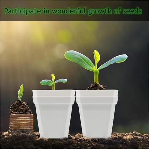30 Pcs Plant Nursery Pots with Humidity Dome for Succulents & Seedlings - Image 5